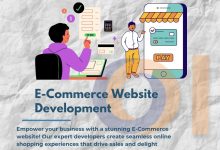 E-commerce development
