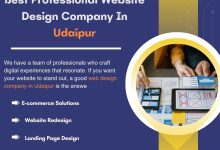 web developer in Udaipur